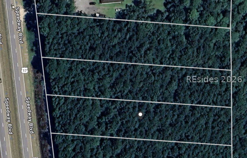 TBD Speedway Boulevard, Hardeeville, SC 29927 - #3