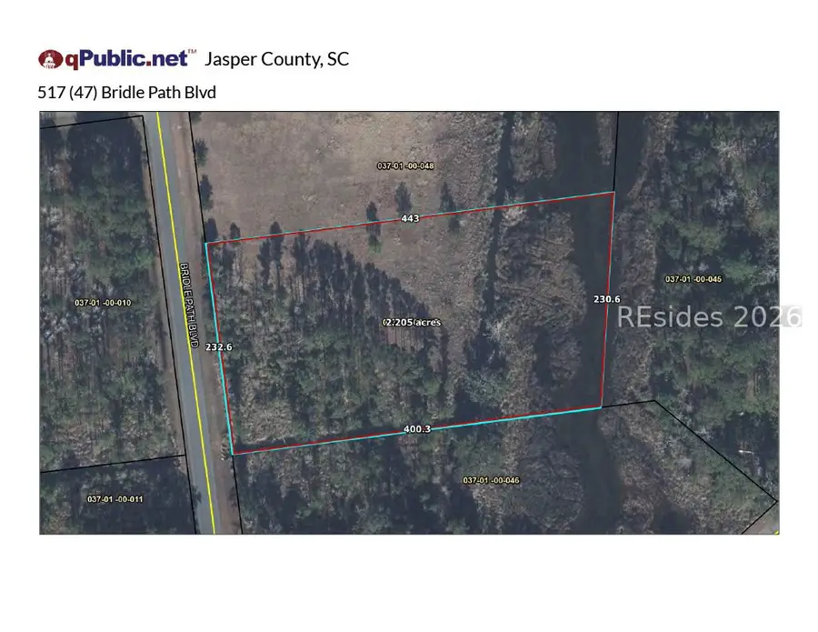 517 Bridle Path Boulevard, Hardeeville, SC 29927 - #2