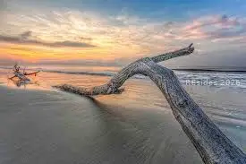 25 Deallyon Avenue #132, Hilton Head Island, SC 29928 - #2