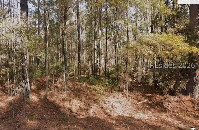 978 Pleasant Hill, Garnett, SC 29922 - #1