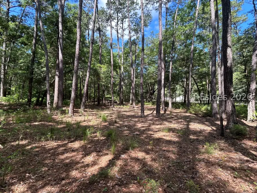 216 School Road, Daufuskie Island, SC 29915 - #3