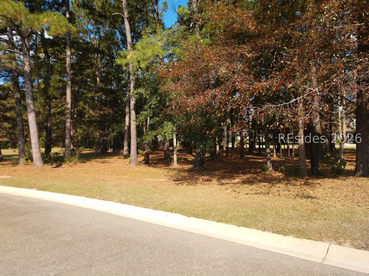 102 Blessing Drive, Bluffton, SC 29909 - #1