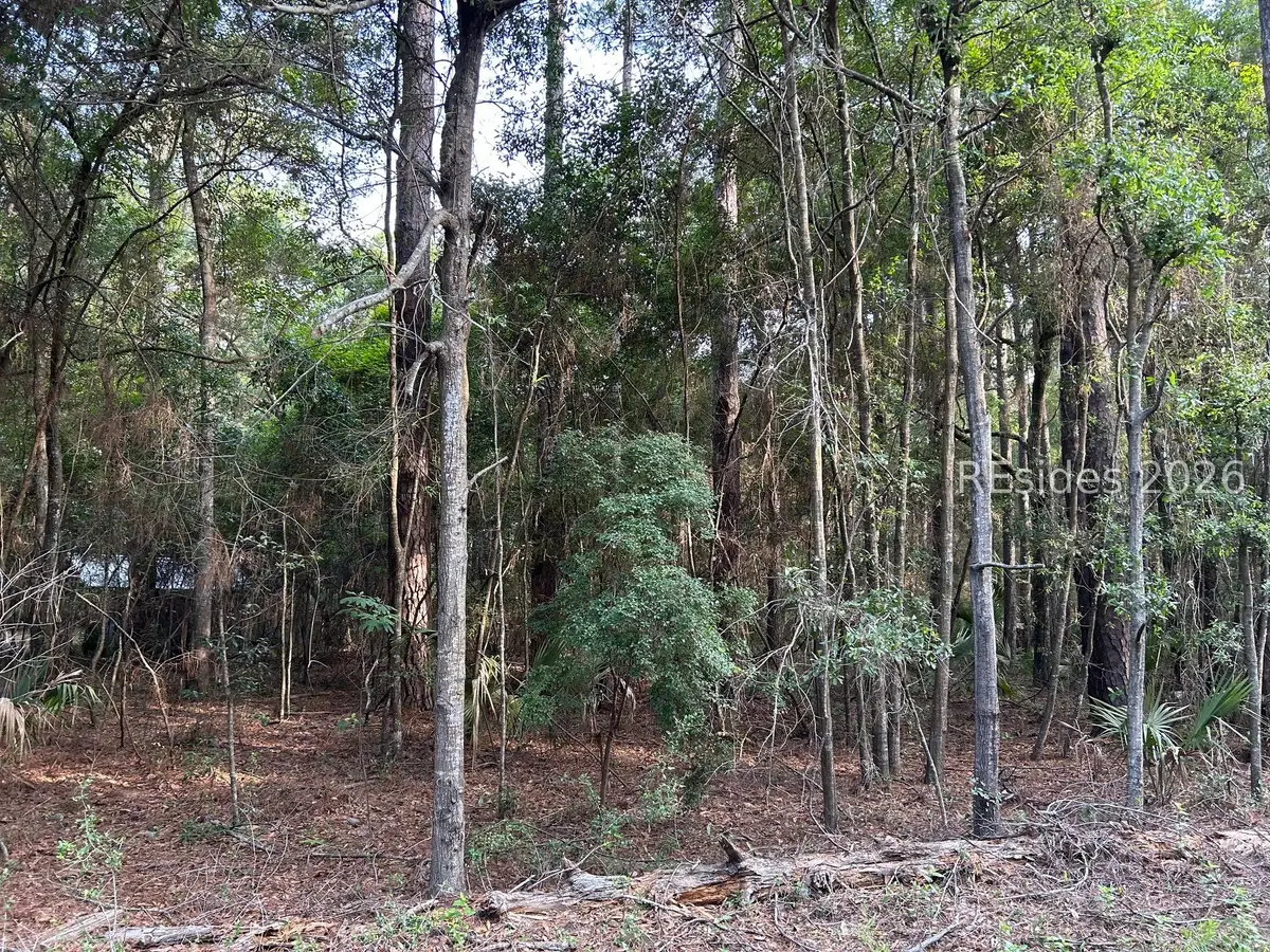 214 Benjies Point Road, Daufuskie Island, SC 29915 - #1