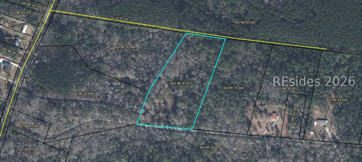 TBD Oliver Dr, Pineland, SC 29934 - #1