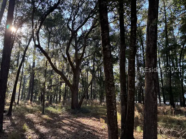 6008 Green Pond Drive, Beaufort, SC 29906