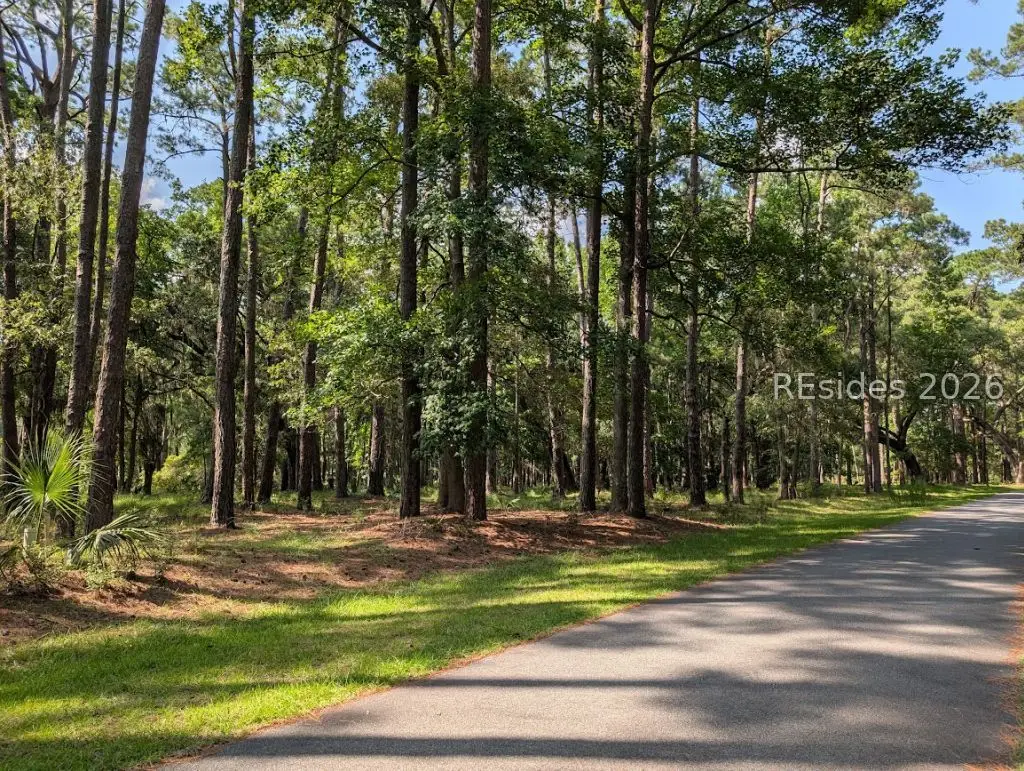 97 Martinangel Lane, Daufuskie Island, SC 29915 - #1