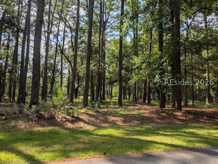97 Martinangel Lane, Daufuskie Island, SC 29915 - #3