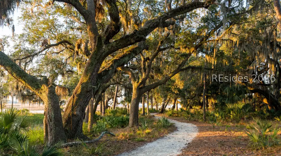 105 Amaranth Road, Bluffton, SC 29910 - #3