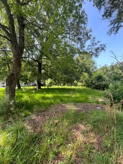 00 Arsburn Road, Charleston, SC 29412 - #1