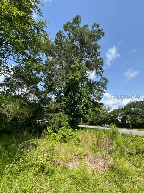 00 Arsburn Road, Charleston, SC 29412 - #2