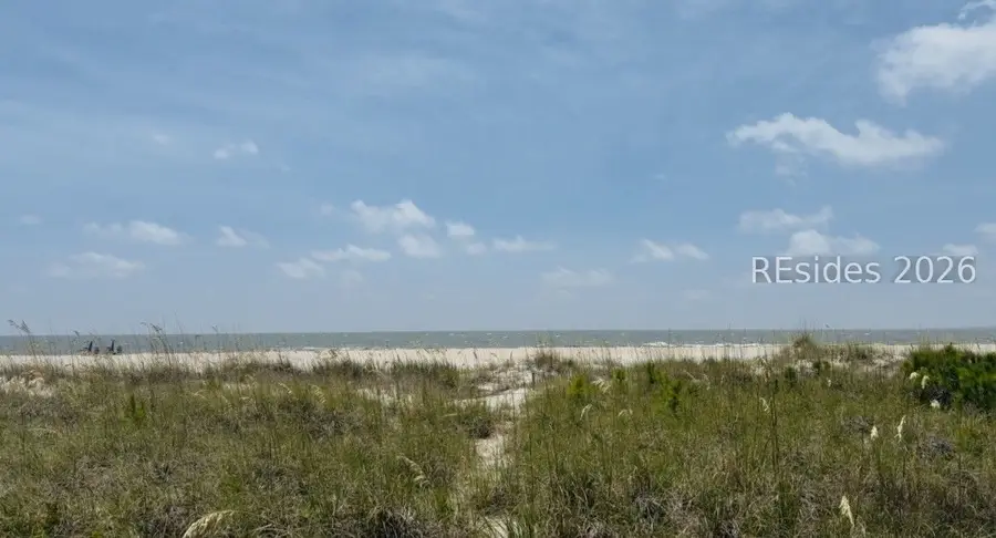 15 Green Wing Teal Road, Hilton Head Island, SC 29928 - #2