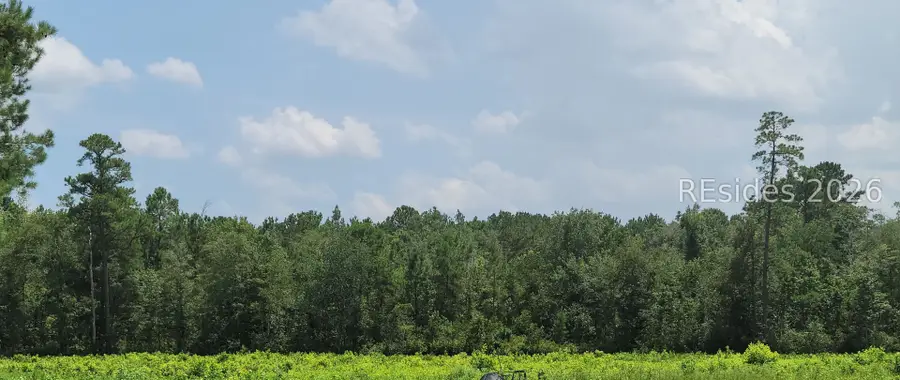 TBD Toomerville Loop, Hardeeville, SC 29927 - #3