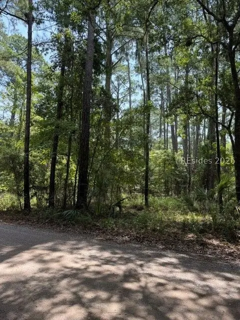 392 School Road, Daufuskie Island, SC 29915 - #1