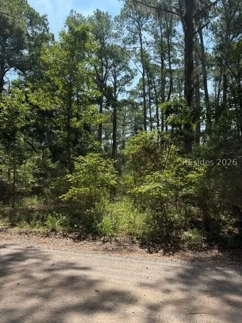 392 School Road, Daufuskie Island, SC 29915 - #2