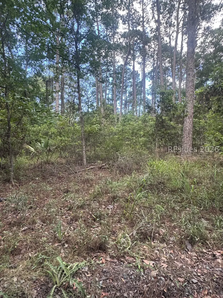 396 School Road, Daufuskie Island, SC 29915 - #2