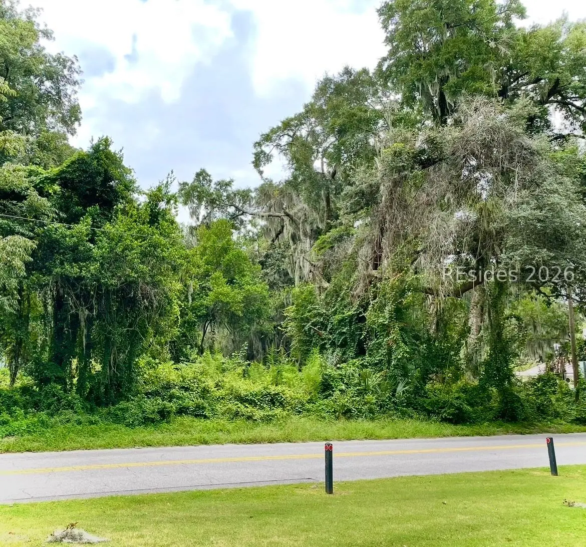 69 Boundary Street, Bluffton, SC 29910 - #1