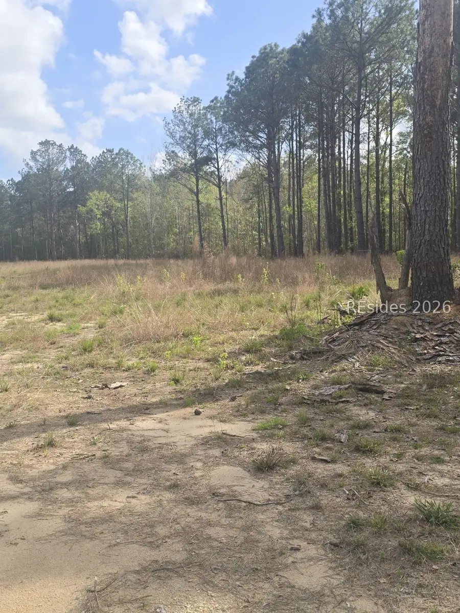 4 Roseland Road #D, Ridgeland, SC 29936 - #3