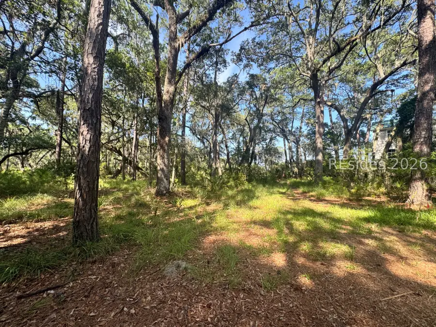 7 N Point Trail, Beaufort, SC 29907 - #2