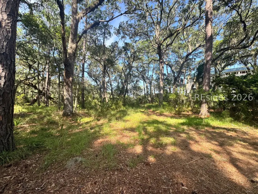 7 N Point Trail, Beaufort, SC 29907 - #3