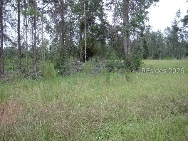 401 Stock Farm Road, Ridgeland, SC 29936 - #3