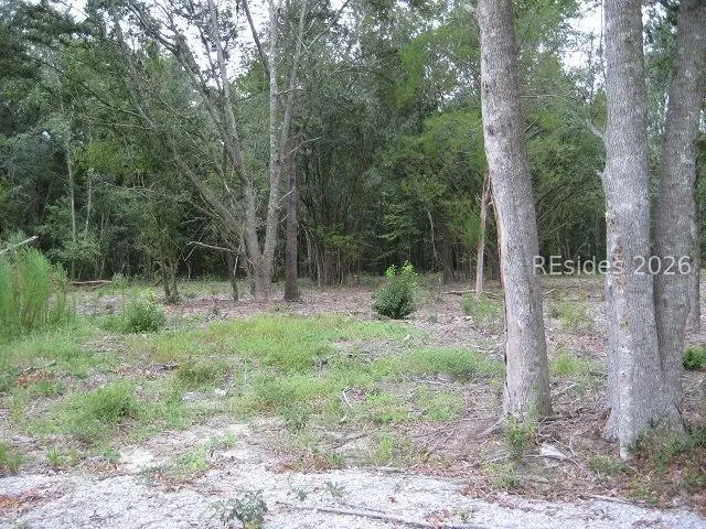 401-1B Stock Farm Road, Ridgeland, SC 29936 - #2