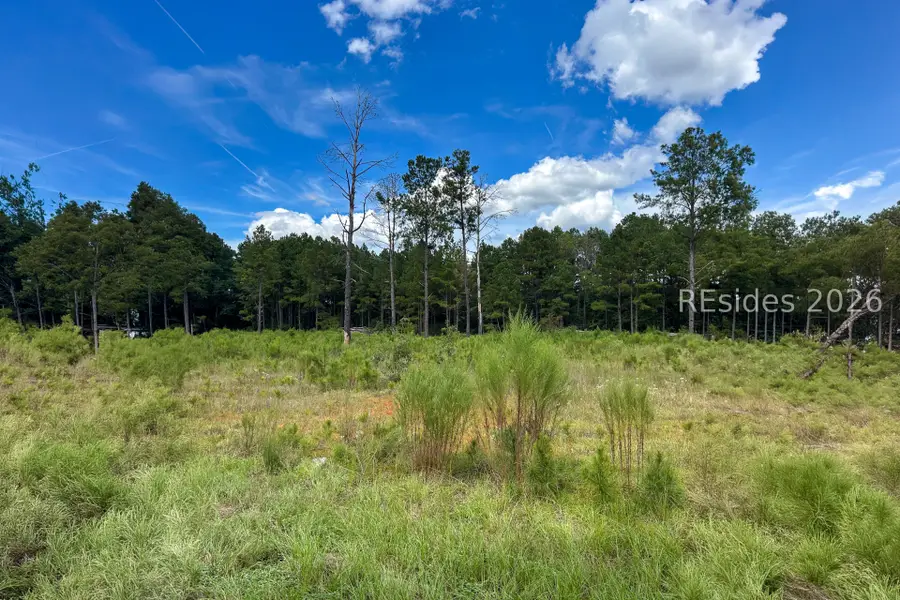 200 Edgewood Drive, Saint Matthews, SC 29135 - #3