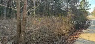 278 Sylvester Road, Varnville, SC 29944 - #2