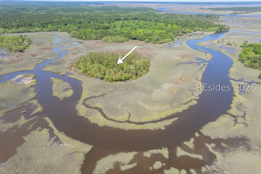 TBD Wimbee Creek Island, Seabrook, SC 29940 - #2