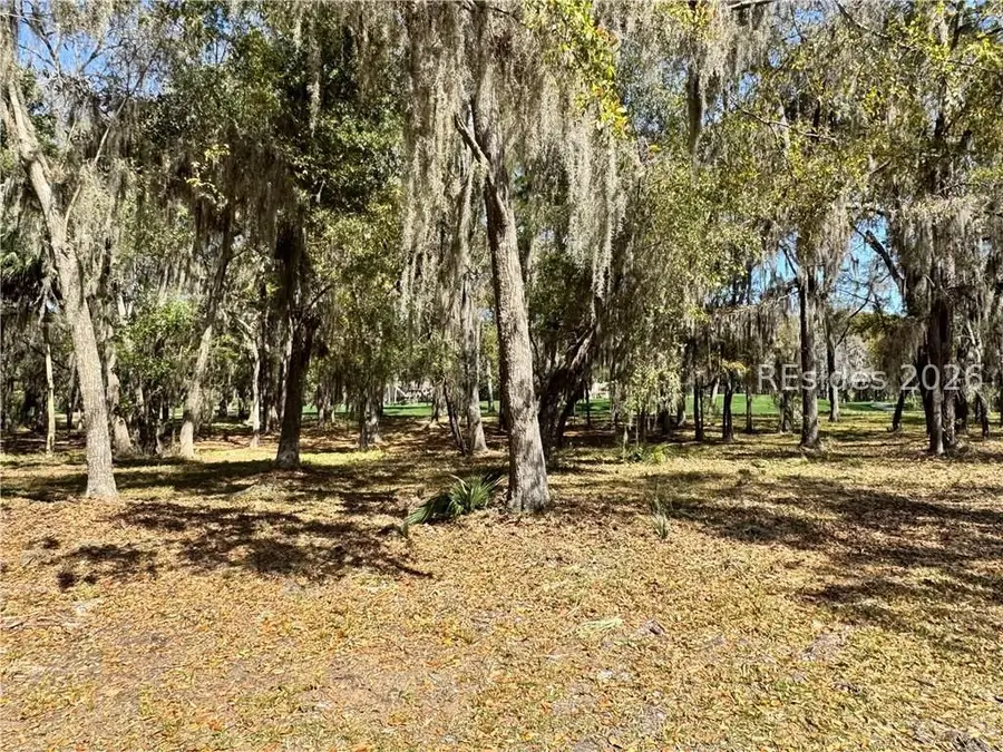 60 Forest Lake Drive, Daufuskie Island, SC 29915 - #2