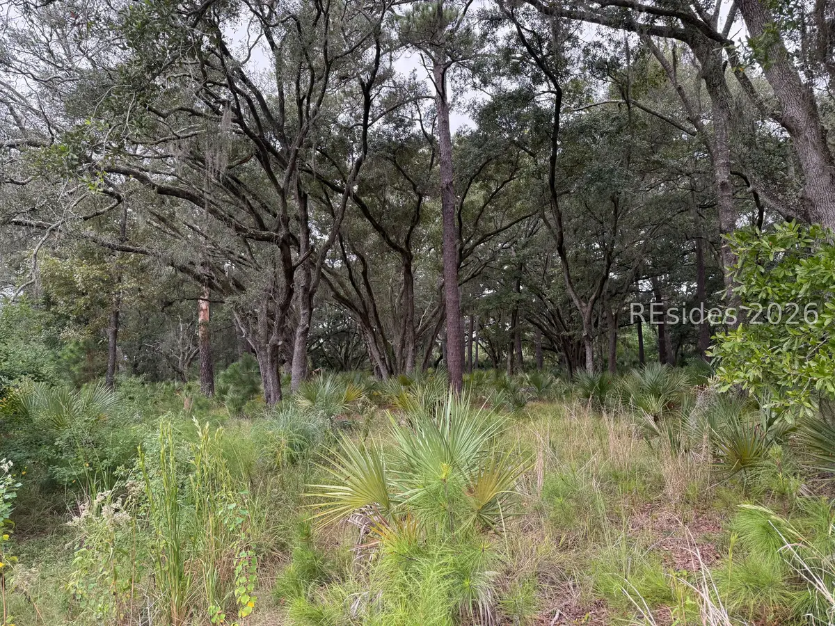 24 Fuskie Lane, Daufuskie Island, SC 29915 - #1
