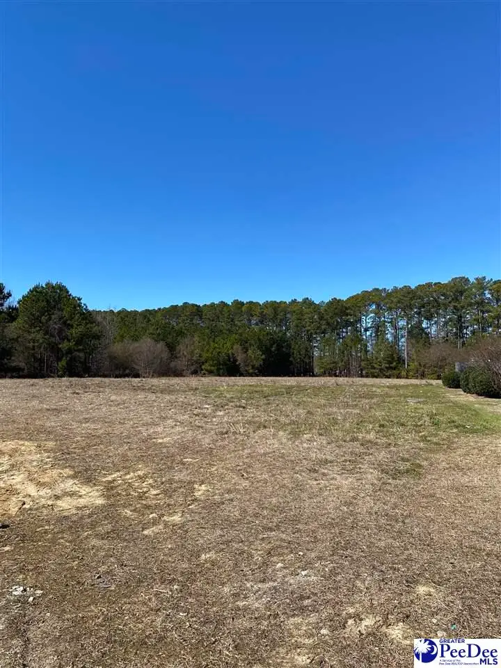 Presbyterian Road, Florence, SC 29501 - #2