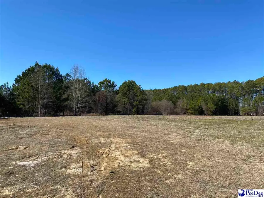 Presbyterian Road, Florence, SC 29501 - #3