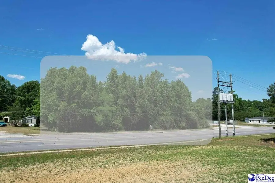 TBD S Highway 301, Latta, SC 29536 - #2