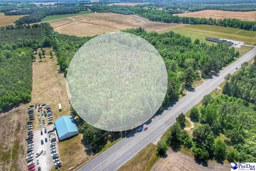 TBD S Highway 301, Dillon, SC 29536 - #3