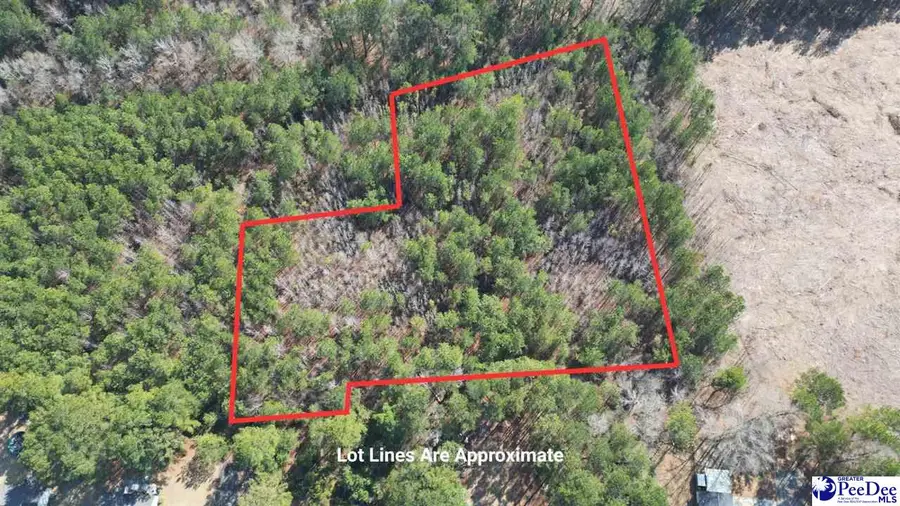 Lot 6 Aunt Prissey Ct, Florence, SC 29505 - #2