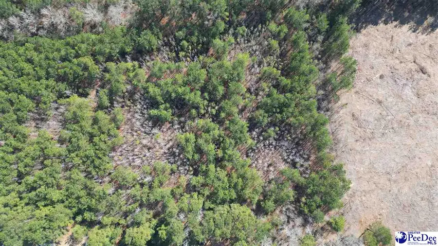 Lot 6 Aunt Prissey Ct, Florence, SC 29505 - #3