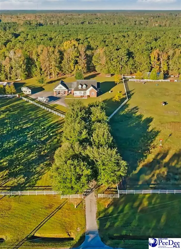 1555 Big Swamp Road, Pamplico, SC 29583 - Image #3
