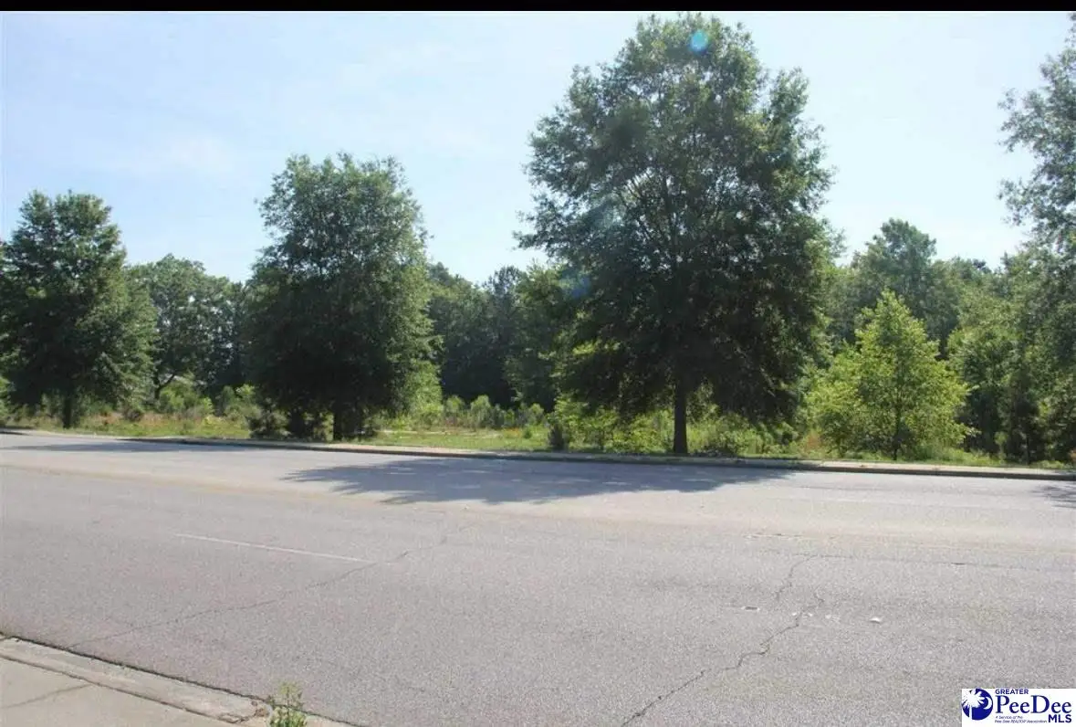 1403 S Fifth Street, Hartsville, SC 29550 - Image #1