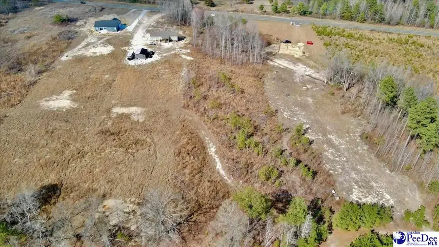 Lot 2 Lenson Mangum Rd, Pageland, SC 29728 - #3
