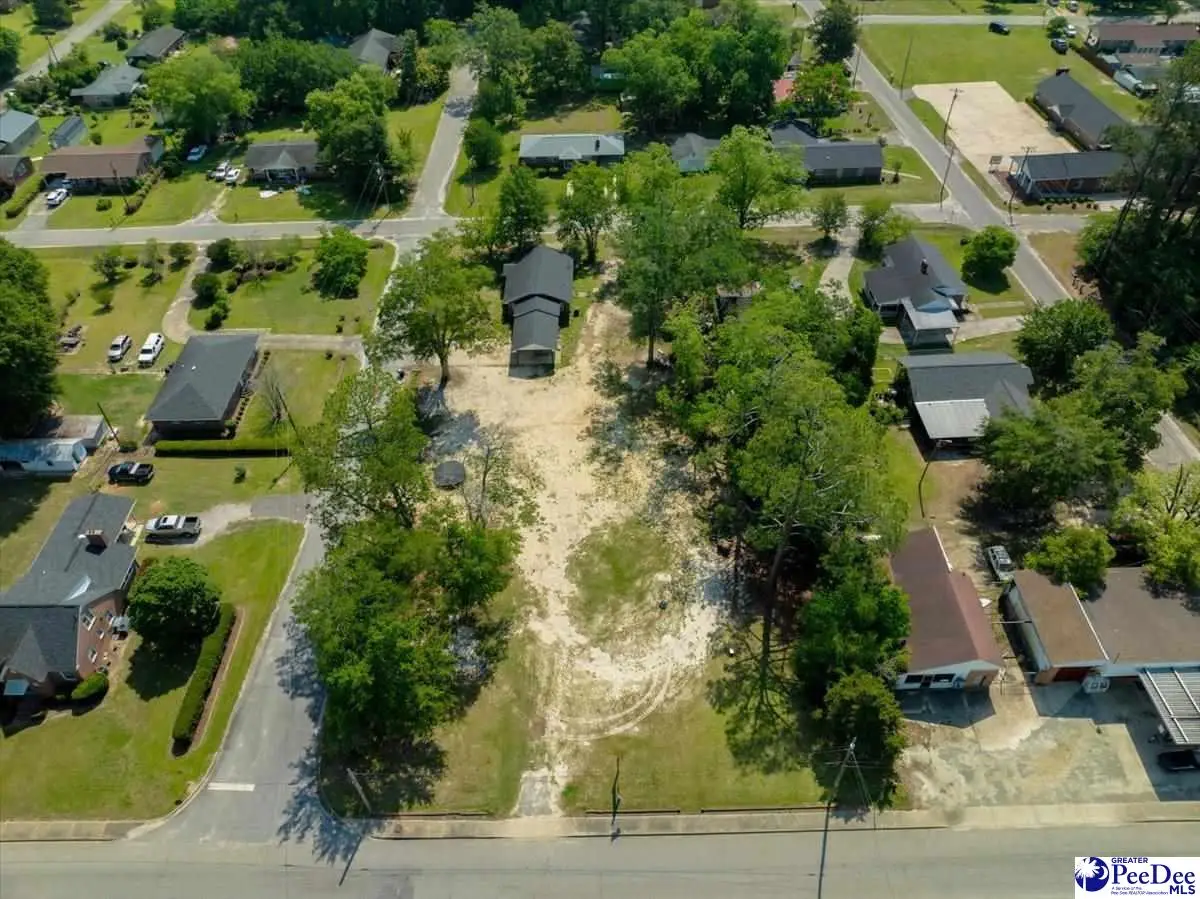 TBD S Main Street, Lake View, SC 29563 - Image #1