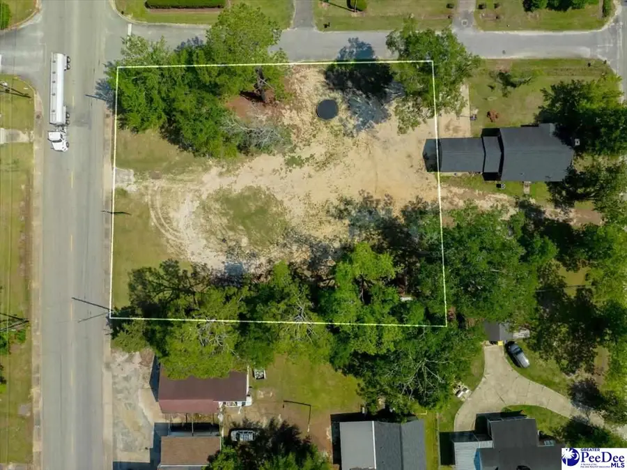 TBD S Main Street, Lake View, SC 29563 - Image #3