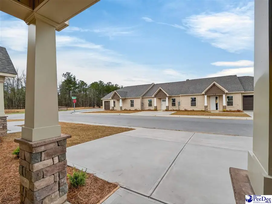 1718 Tuxedo Junction, Effingham, SC 29541 - #3