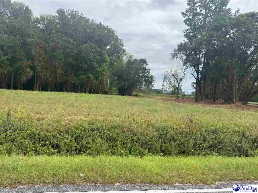 Lot 4 Salem Road, Bennettsville, SC 29512 - Image #3