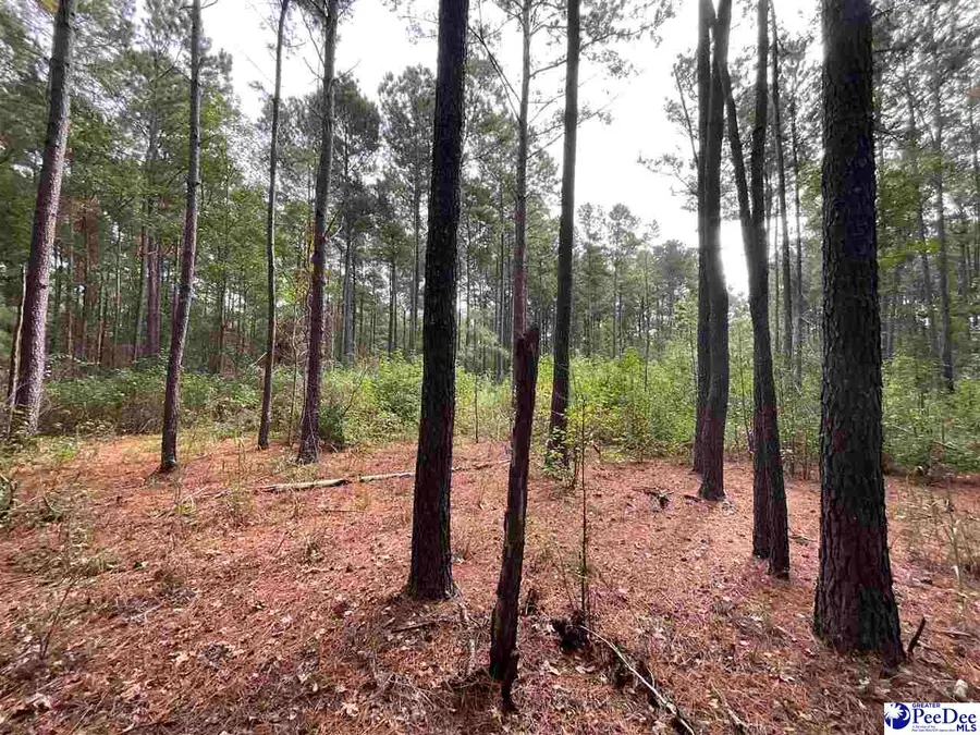 TBD Aloha Drive, Marion, SC 29571 - #3