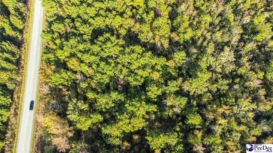 TBD I M Graham Rd, Cades, SC 29518 - Image #2
