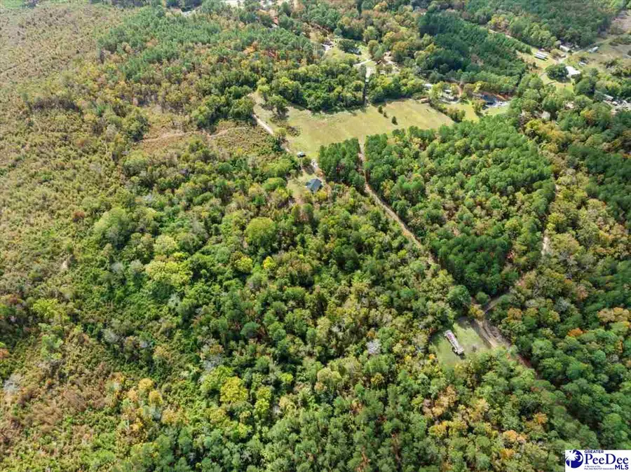 5155 Percy Lane, Wallace, SC 29596 - Image #2