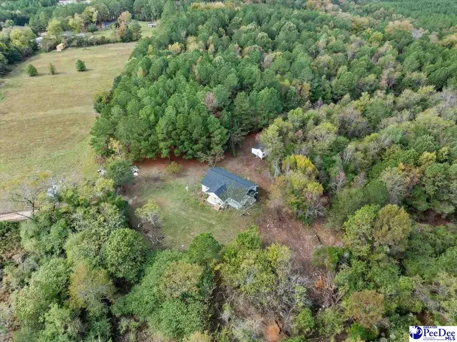 5155 Percy Lane, Wallace, SC 29596 - Image #3