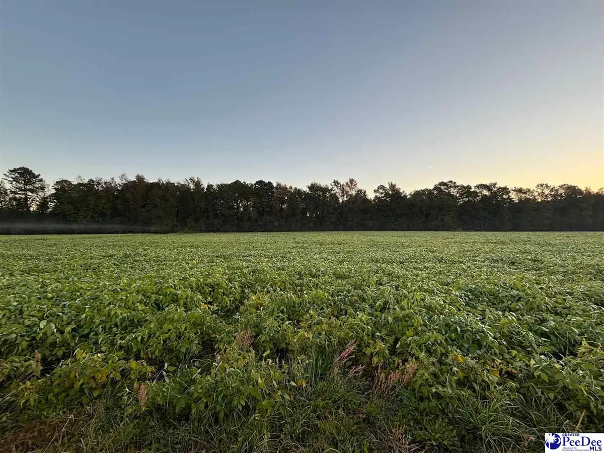 2008 Timmons Rd., Effingham, SC 29561 - Image #1