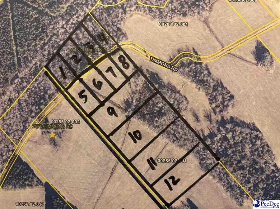 2008 Timmons Rd., Effingham, SC 29561 - Image #2