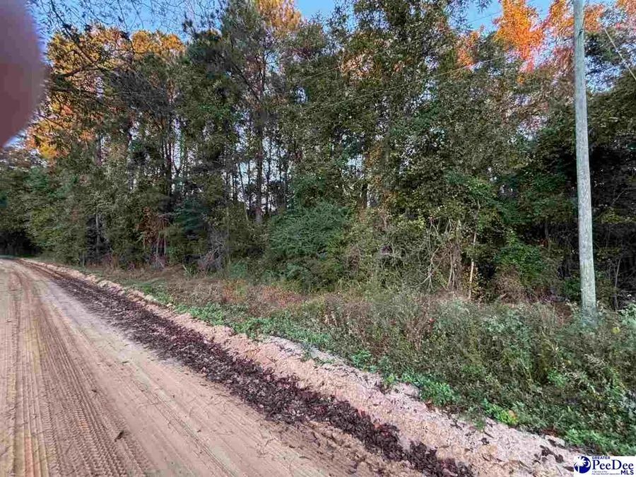 2008 Timmons Rd., Effingham, SC 29561 - Image #3